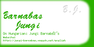 barnabas jungi business card